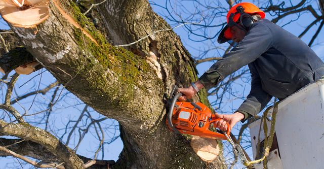 Tree Pruning